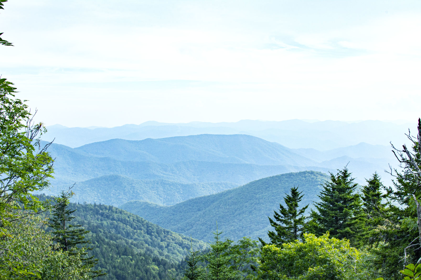 Richland Balsam view.jpg